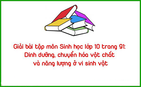 Giải bài tập môn Sinh học lớp 10 trang 91: Dinh dưỡng, chuyển hóa vật chất và năng lượng ở vi sinh vật