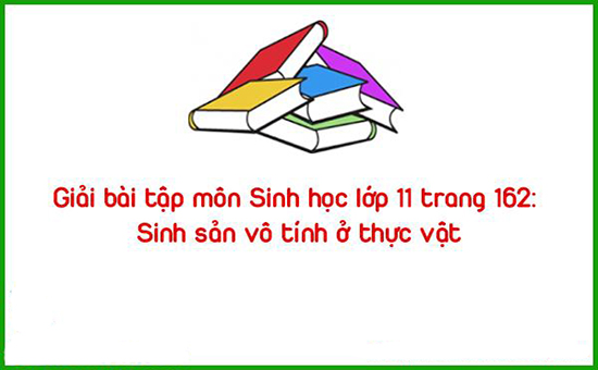 Giải bài tập môn Sinh học lớp 11 trang 162: Sinh sản vô tính ở thực vật