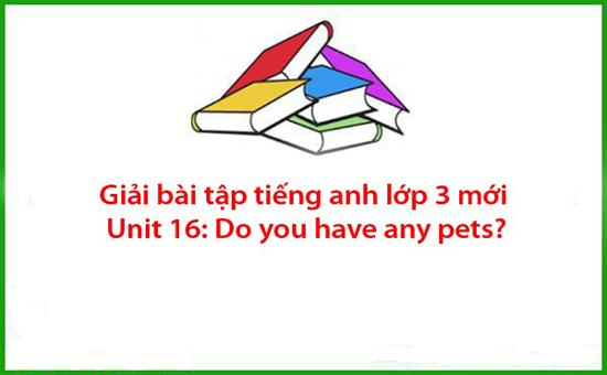 Giải bài tập tiếng anh lớp 3 mới Unit 16: Do you have any pets?