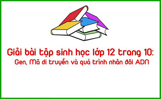 Giải bài tập sinh học lớp 12 trang 10: Gen, Mã di truyền và quá trình nhân đôi ADN