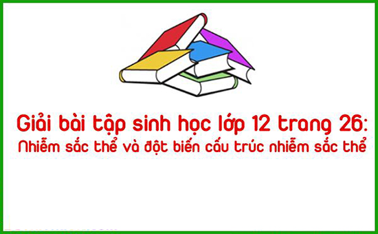 Giải bài tập sinh học lớp 12 trang 26: Nhiễm sắc thể và đột biến cấu trúc nhiễm sắc thể