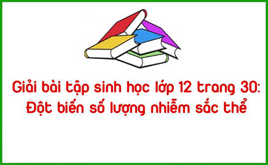 Giải bài tập sinh học lớp 12 trang 30: Đột biến số lượng nhiễm sắc thể