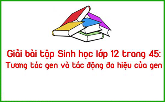 Giải bài tập Sinh học lớp 12 trang 45: Tương tác gen và tác động đa hiệu của gen