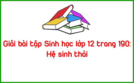 Giải bài tập Sinh học lớp 12 trang 190: Hệ sinh thái