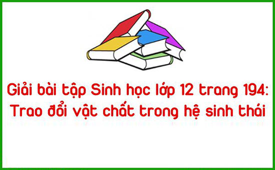 Giải bài tập Sinh học lớp 12 trang 194: Trao đổi vật chất trong hệ sinh thái