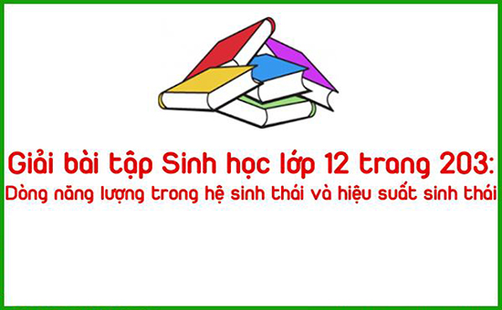 Giải bài tập Sinh học lớp 12 trang 203