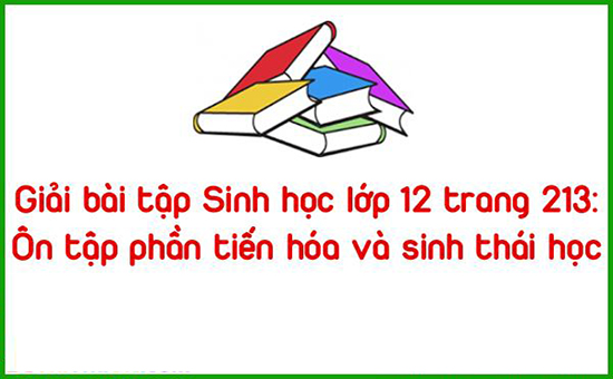 Giải bài tập Sinh học lớp 12 trang 213: Ôn tập phần tiến hóa và sinh thái học