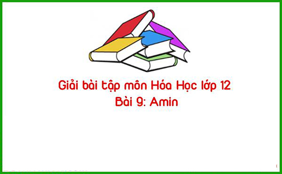 Giải bài tập môn Hóa Học lớp 12 Bài 9: Amin