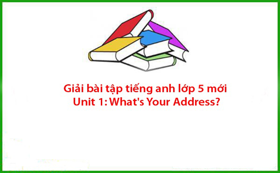 Giải bài tập tiếng anh lớp 5 mới Unit 1: What’s Your Address?