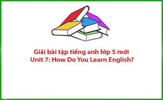 Giải bài tập tiếng anh lớp 5 mới Unit 7: How Do You Learn English?