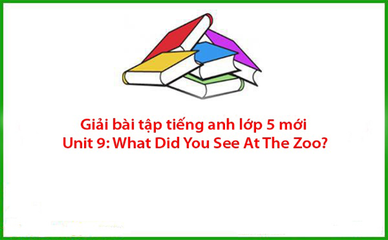 Giải bài tập tiếng anh lớp 5 mới Unit 9: What Did You See At The Zoo?