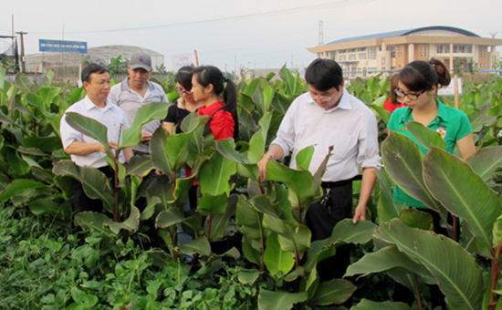 Tìm hiểu Ngành Phát triển nông thôn là gì ?