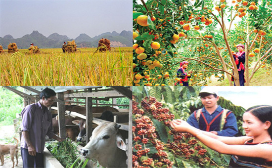 Chương trình đào tạo Ngành Phát triển nông thôn bậc Đại học