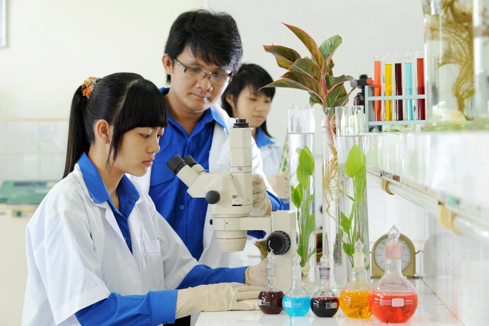 chuong trinh dao tao nganh cong nghe ky thuat moi truong bac dai hoc