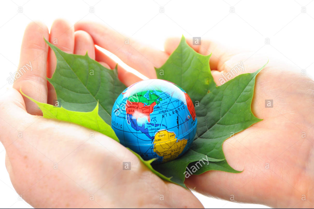chuong trinh dao tao nganh cong nghe moi truong nong nghiep bac dai hoc