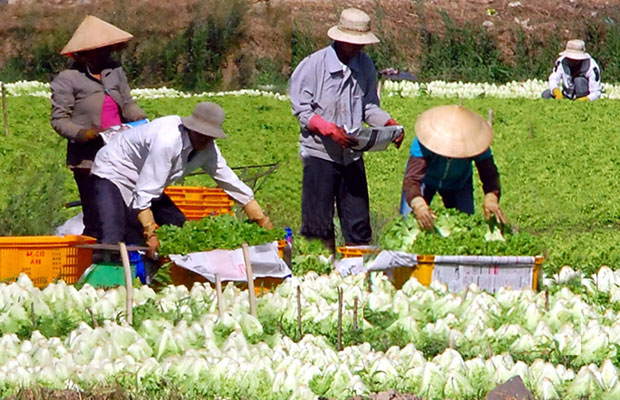 chuong trinh dao tao nganh cong nghe sau thu hoach bac dai hoc