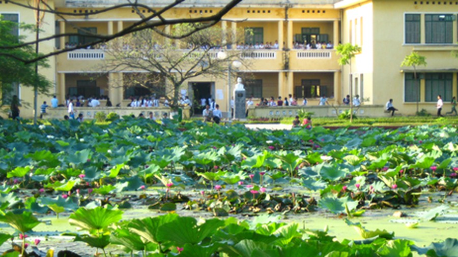 chuong trinh dao tao nganh viet nam hoc bac dai hoc