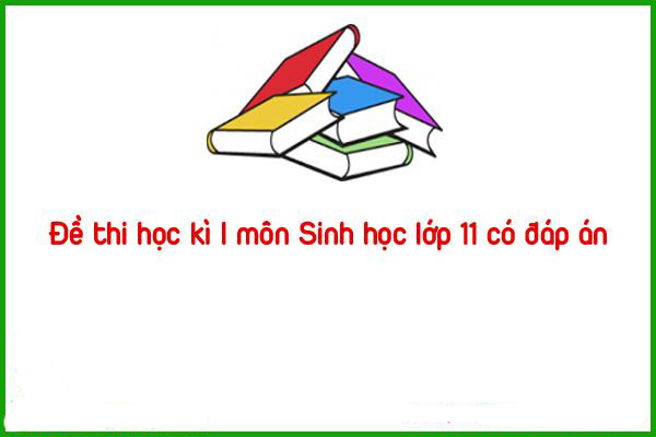 de thi hoc ki i mon sinh hoc lop 11 co dap an