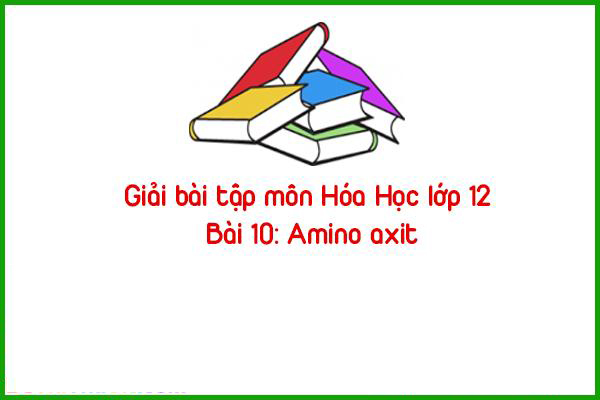 giai bai tap mon hoa hoc lop 12 bai 10 amino