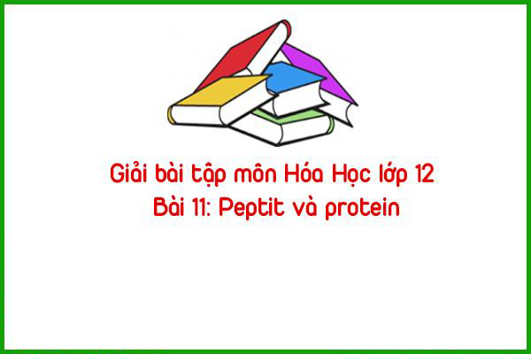 giai bai tap mon hoa hoc lop 12 bai 11 peptit va protein