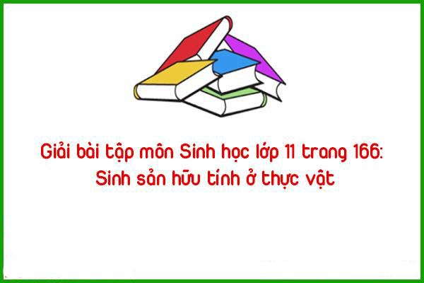 giai bai tap mon sinh hoc lop 11 trang 162 sinh san huu tinh o thuc vat