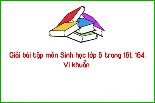 giai bai tap mon sinh hoc lop 6 trang 161 164 vi khuan