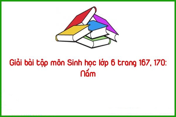 giai bai tap mon sinh hoc lop 6 trang 167 170 nam