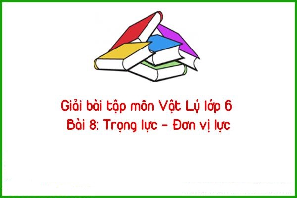 giai bai tap mon vat ly lop 6 bai 8 trong luc don vi luc
