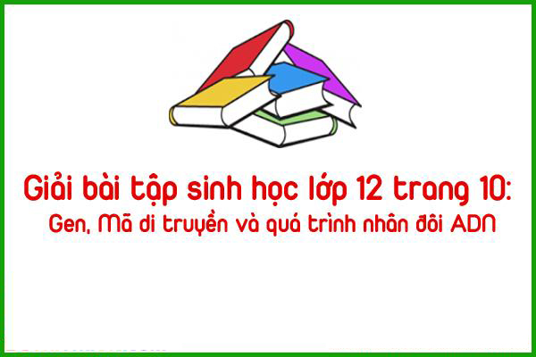 giai bai tap sinh hoc lop 12 trang 10 gen ma di truyen va qua trinh nhan doi adn