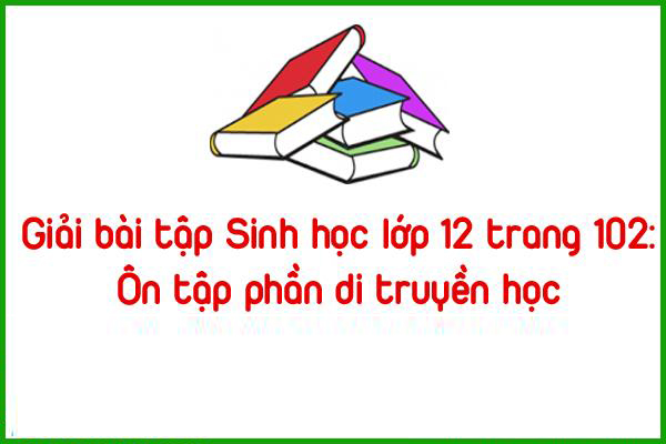 giai bai tap sinh hoc lop 12 trang 102 on tap phan di truyen hoc