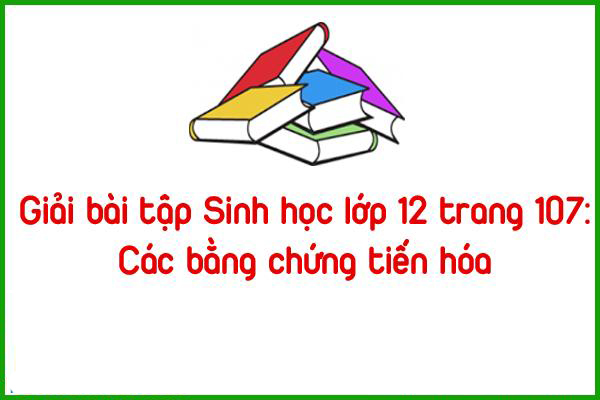 giai bai tap sinh hoc lop 12 trang 107 cac bang chung tien hoa
