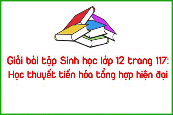 giai bai tap sinh hoc lop 12 trang 117 hoc thuyet tien hoa tong hop hien dai