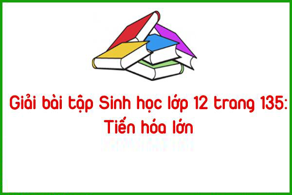 giai bai tap sinh hoc lop 12 trang 135 tien hoa lon