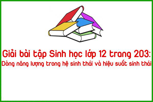 giai bai tap sinh hoc lop 12 trang 203