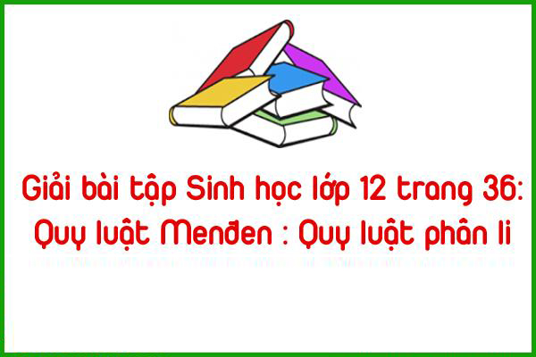 giai bai tap sinh hoc lop 12 trang 36 quy luat menden quy luat phan li