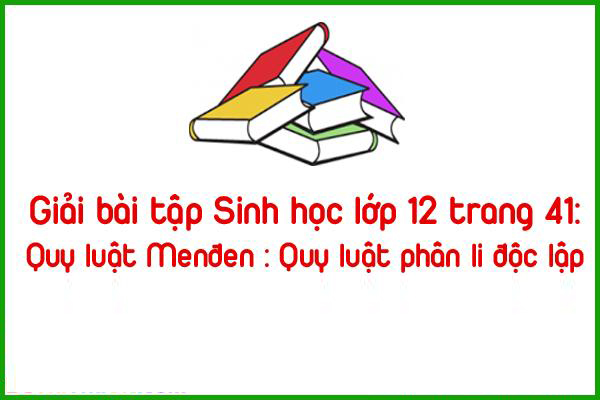 giai bai tap sinh hoc lop 12 trang 41 quy luat menden quy luat phan li doc lap