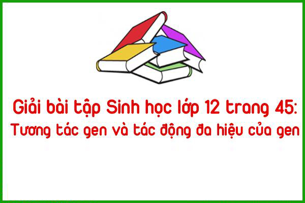 giai bai tap sinh hoc lop 12 trang 45 tuong tac gen va tac dong da hieu cua gen