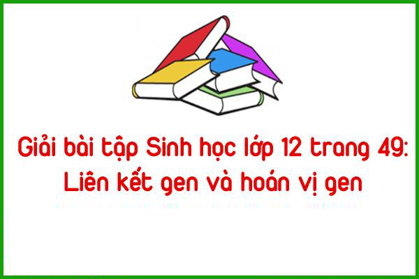 giai bai tap sinh hoc lop 12 trang 49 lien ket gen va hoan vi gen