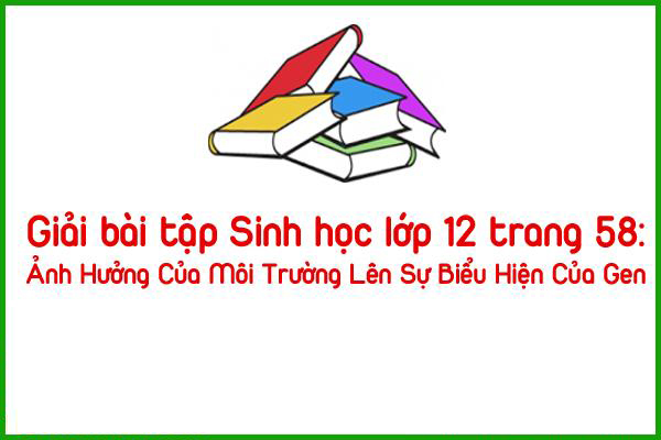 giai bai tap sinh hoc lop 12 trang 58 anh huong cua moi truong len su bieu hien cua gen