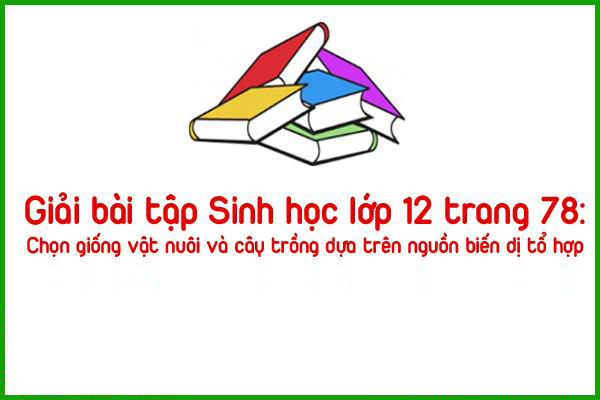 giai bai tap sinh hoc lop 12 trang 78
