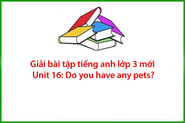giai bai tap tieng anh lop 3 moi unit 16 do you have any pets