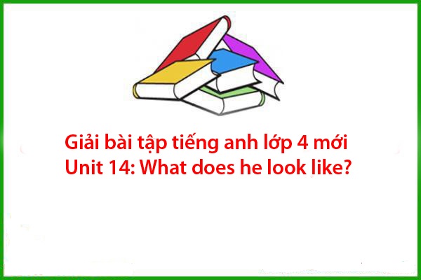 giai bai tap tieng anh lop 4 moi unit 14 what does he look like