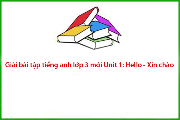 giai bai tap tieng anh lop moi unit hello xin chao