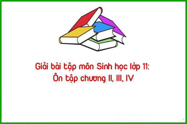 giai20bai20tap20mon20sinh20hoc20lop201120on20tap20chuong20ii20iii20iv