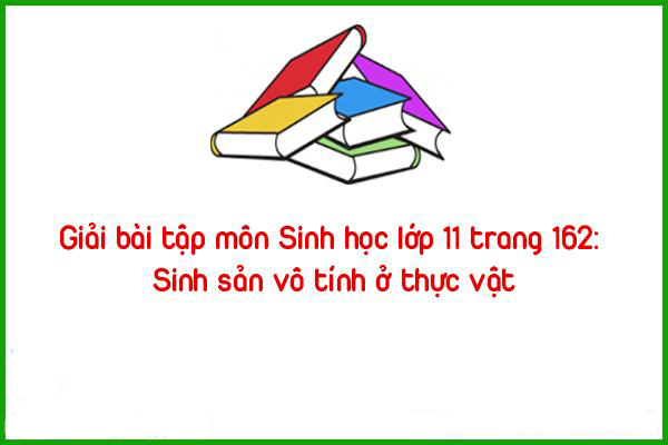 giai20bai20tap20mon20sinh20hoc20lop201120trang2016220sinh20san20vo20tinh20o20thuc20vat