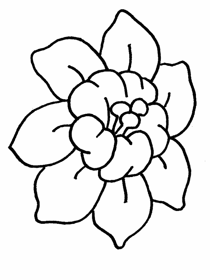 image001